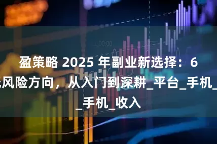 盈策略 2025 年副业新选择:6 个低风险方向,从入门到深耕_平台_手机_收入