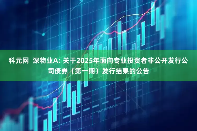 科元网  深物业A: 关于2025年面向专业投资者非公开发行公司债券（第一期）发行结果的公告